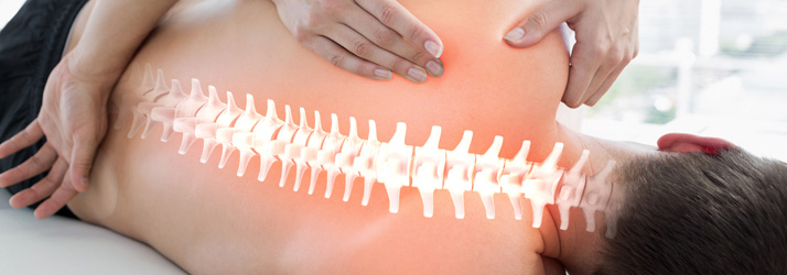 An illustration of the spine over a person's back