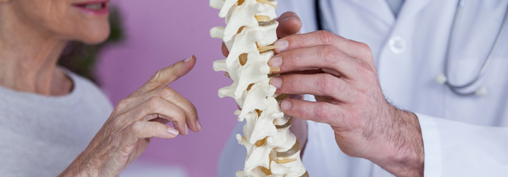 Two people examining a model of the spine