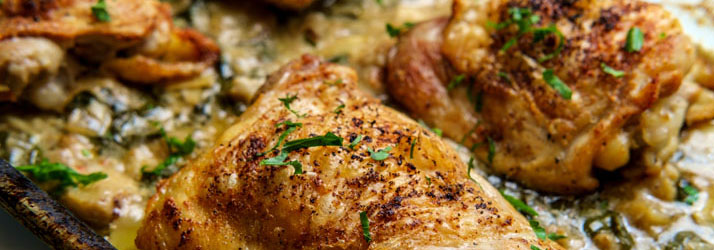 Cooked chicken with a creamy sauce and herbs